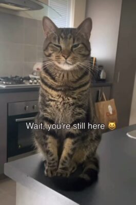 ScreenRecording_01-25-2026 23-03-26_1