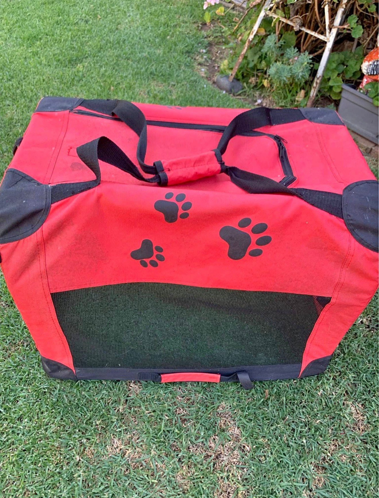 Pet carrier with soft sides