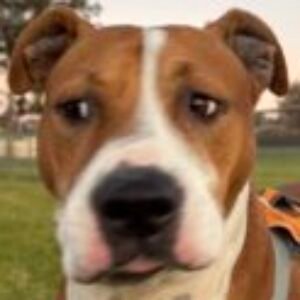 Profile photo of Richard Nguyen